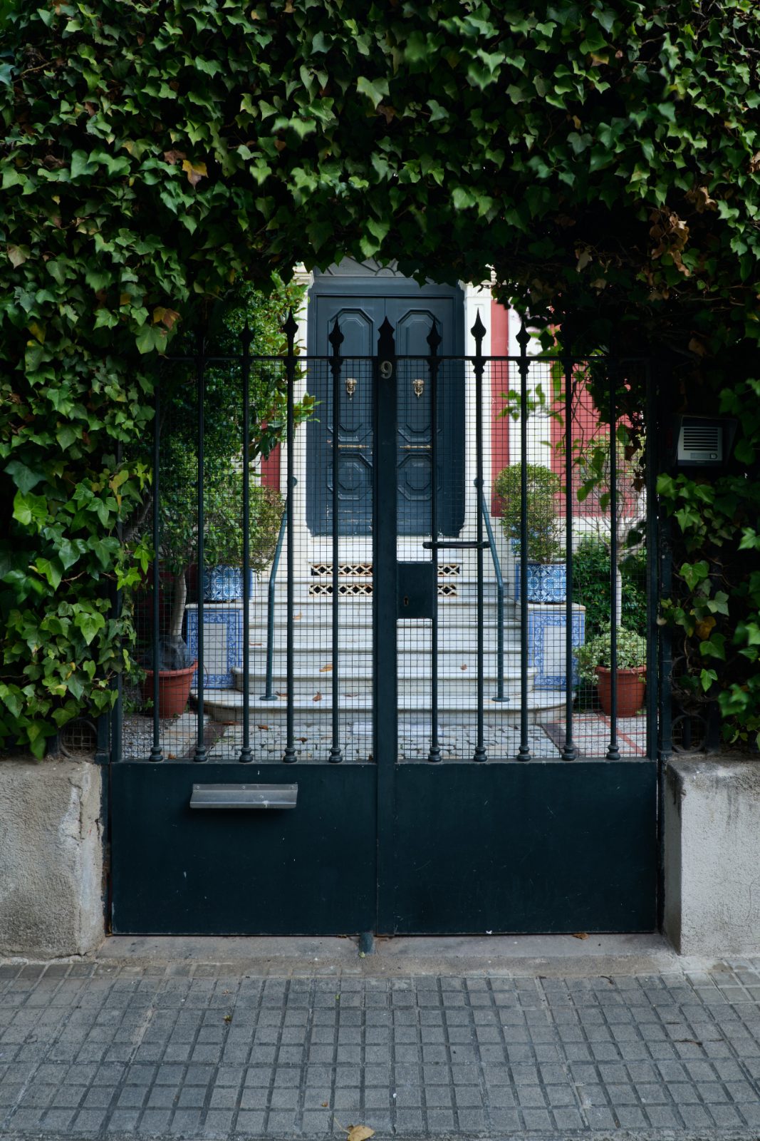 Ivy-covered gate, number 9